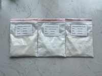 Fabriek Direct 100,000-2.400.000u/G Bulk Papaïne Enzympoeder