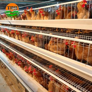 Vendita calda di marca 3 strati di capacità di 128 gabbia di pollo per commerciale strato di uova - Product Image 2