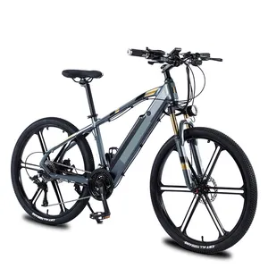 36V 250W pedal assist e power battery cycle 48V 350W man electric mountain bike 750W adults ebike best electric bicycle for sale