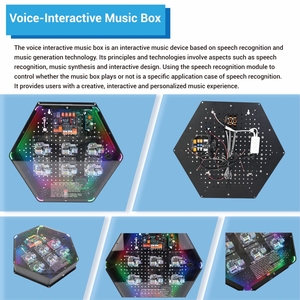 Solution de démonstration interactive IA pour festival scientifique scolaire : Unité modulaire hexagonale LED RGB avec affichage musical STEM et carte IA - Product Image 5