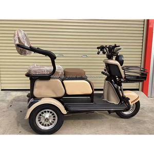 YINGWU Fabricant Trois Roues Vélo Électrique <span class=keywords><strong>Danois</strong></span> <span class=keywords><strong>Cargo</strong></span> Tricycle De Golf pour Adultes - Product Image 5