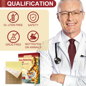 10パック中国のハーブ膝関節首クイック痛み緩和タイガーパッチタイガーバーム背中の肩のための痛み緩和パッチ - Product Image 6