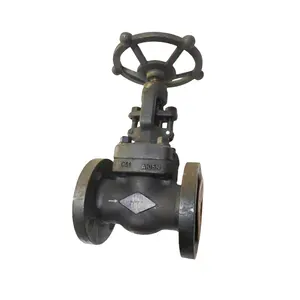 Flanged A105 Manual Gate Valve Forged Steel 150LB American Standard Custom Gate Valve