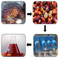 Palmolie Maken Machine Palmfruit Olie Verwerking Presser Koude Pers Schroef Extractie Kernel Expeller Btma Plant Voor Thuis