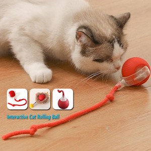 USB ricaricabile ABS Smart Teaser Ball con nappa Stick automatizzato auto-rotazione palla rotolante per la formazione e il gioco di gatti Indoor - Product Image 2