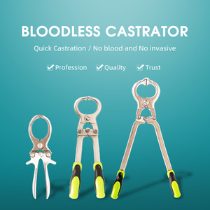 Castrateur sans sang pour porcs, outil de castration à anneau en caoutchouc, économique en termes de travail, pour porcelets dans les exploitations d'élevage moderne - Product Image 2