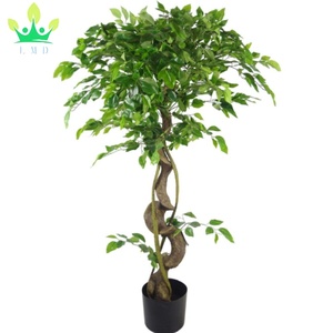 Ficus artificiel <span class=keywords><strong>japonais</strong></span> Fruticosa arbre torsadé avec <span class=keywords><strong>pot</strong></span> noir fausse <span class=keywords><strong>plante</strong></span> <span class=keywords><strong>pour</strong></span> la maison salon bureau <span class=keywords><strong>jardin</strong></span> porche décoration - Product Image 2
