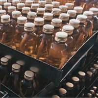 Jus Ginseng Segar OEM Berkualitas Tinggi