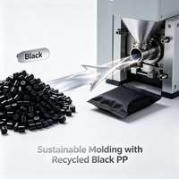 Granulés de PP recyclé noir, granulés de polypropylène recyclé noir pour pièces automobiles, produits industriels et de consommation