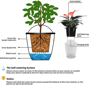 Fioriera Auto-irrigante in Dropshipping <span class=keywords><strong>da</strong></span> Interno ed <span class=keywords><strong>Esterno</strong></span> Vaso Verticale <span class=keywords><strong>da</strong></span> Parete o Finestra per Erbe Aromatiche <span class=keywords><strong>da</strong></span> Cucina - Product Image 6
