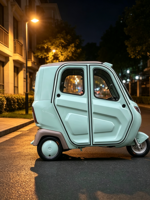 Tricycle Électrique Fermé pour Passagers, Tuk-Tuk, Scooter Électrique à Cabine Fermée, Tricycle Électrique Fabriqué en Chine