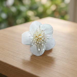 Fleurs séchées en bois de Sola de 4 cm en gros pour la décoration intérieure, respectueuses de l'environnement, pour la remise des diplômes, Halloween, la fête des Mères, Pâques, la Saint-Valentin - Product Image 2