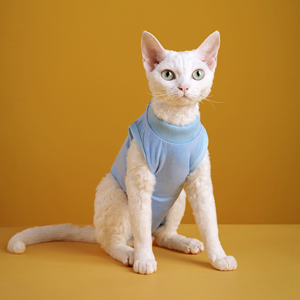 Wholesale Pet Recovery Suit Cat Surgery Clothes Pet <b>Dog</b> Cat Surgery Clothes - Product Image 6