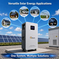Batterie solaire au lithium LiFePO4 de qualité A 51,2 V 314 Ah pour stockage d'énergie domestique 16 kWh 5 kWh avec BMS intelligent CAN RS485 16 parallèles