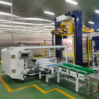 Automatische multifunctionele fruitconservenverwerkingslijn pomp motor 304 roestvrij staal hoge efficiëntie voedselproductiemachine