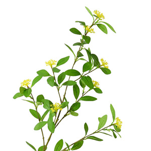 Feuilles d'eucalyptus artificielles Flower Delight avec fleurs jaunes, fleurs en soie, imperméables, décoration intérieure, accessoires de mariage - Product Image 3