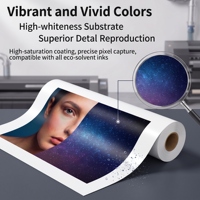 Matériaux autocollants en vinyle PP imprimables pour impression éco-solvant
