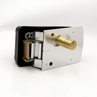 Serrure de porte extérieure étanche en laiton haute sécurité, robuste, avec cylindre en laiton, serrure électronique à encastrer pour porte en fer, alimentation DC 12V/24V