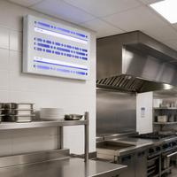 Piège à colle de haute qualité avec lampe UV anti-moustiques, tue-insectes collant professionnel pour cuisine et bureau