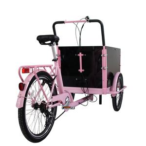 Servicios de Entrega, Triciclo de Carga con Pedales, Bicicleta Eléctrica de Carga, Bicicleta Eléctrica Holandesa <span class=keywords><strong>Enduro</strong></span> Camper, Bicicleta Familiar de Carga de 3 Ruedas, Bakfiet - Product Image 4