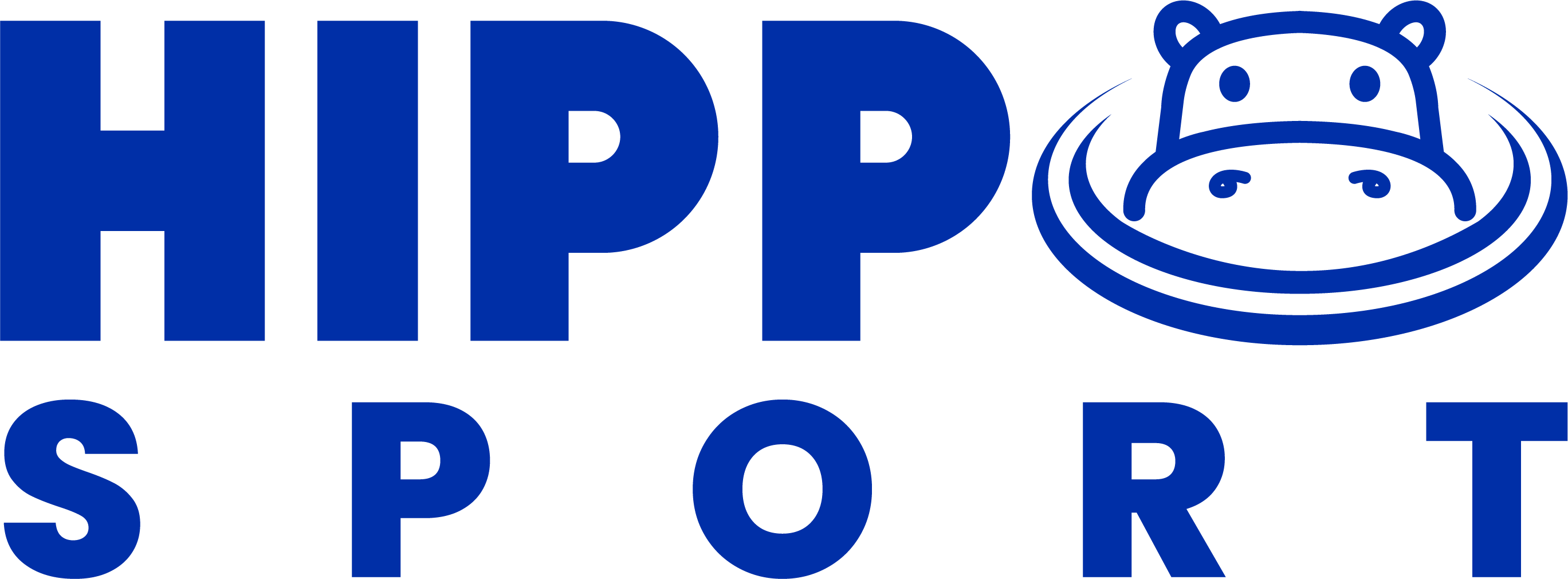 Qingdao Hippo Sport Products Co., Ltd. logo
