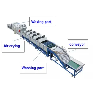 Industrial Lemon Apple Orange Fruit Vegetable Drying Waxing Sorting Line Onion and Potato Grade Machine