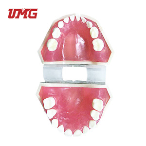 อุปกรณ์ช่วยสอนฟันปลอมแบบถอดได้สำหรับเด็ก รุ่น Um-7009 - Product Image 2