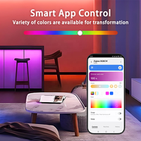 Bilihondim Zigbee Smart RGB 1 Canal Contrôleur CW Boîtier Numérique Interrupteur Variateur Sans Fil Intérieur Compatible Google Assistant Installation Facile
