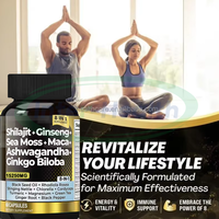 Ausreson OEM Compléments de Shilajit pour l'Immunité, l'Énergie et la Santé – Capsules Pures de Shilajit, Astragale, Ashwagandha, Ginseng, Curcuma et Champignons