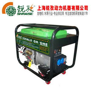 Generador de Gasolina Raise G Power 160Alx G, Unidad de Soldadura, Motor de Doble Propósito de 7.0 Hp, 220V 50Hz - Product Image 2