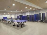 Table de ping-pong IUNNDS pleine grandeur en MDF, pour intérieur/extérieur, mobile et pliable.
