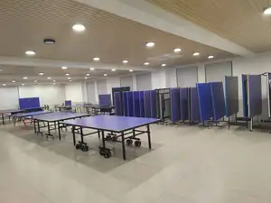 IUNNDS tam boy açık pinpon masası hareketli kapalı katlanabilir masa tenis masası