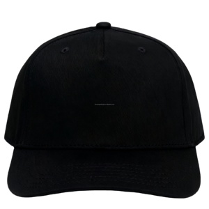 5 Panel Trucker <b>Cap</b> Structured Gorra Golf Baseball <b>Caps</b> Customized <b>Caps</b> Embroidered Logo <b>Flat</b> Brim Baseball <b>Cap</b> - Product Image 1