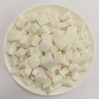 Keripik Kelapa Kering Grosir Bahan Baku Irisan Kelapa untuk Makanan Ringan Kelas Makanan, Panggang Renyah Alami Tanpa Gula