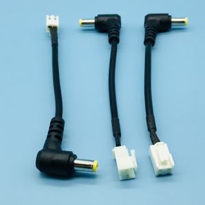 1007 Gestreepte Vertinde 22awg 2 Kernen Zwart & Wit Oem Dc Naar Jst 3.96Mm 2pin Socket Kabel Assemblage - Product Image 5