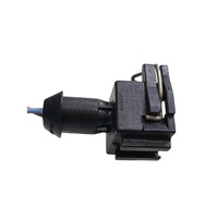 Conector de Inyector de Combustible Sellado de 2 Pines EV1 1928403494 para BMW VW, Venta al Por Mayor