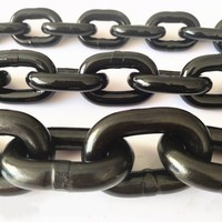 Tendeur à chaîne à cliquet robuste en acier allié soudé avec crochet de suspension, peint en noir