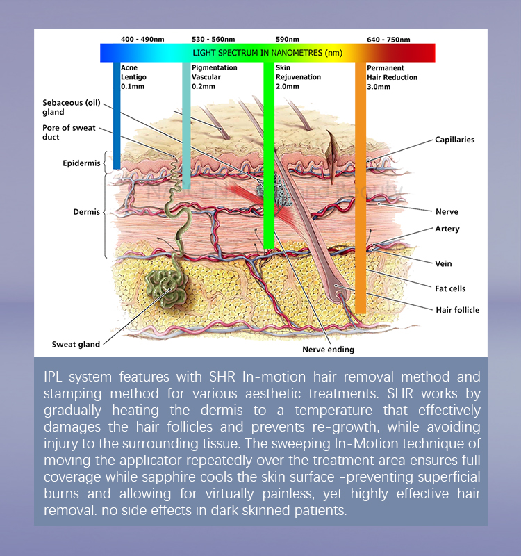 Máquina vascular de la belleza del retiro del pelo del rejuvenecimiento de la piel del retiro M22 del OPT IPL del tratamiento estupendo del acné