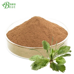 De alta calidad de <span class=keywords><strong>plantago</strong></span> principales/extracto de asiático de extracto de plátano/de extracto de plátano - Product Image 1