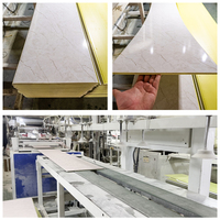 Panel de Pared de PVC Rígido de Alta Calidad, Ignífugo, Impermeable, Anti-Impactos, Tablero de Decoración Interior para Garaje y Almacén