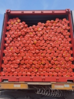 Rouleaux de bâche en PE imperméable, pare-vent, pour tentes en plastique / lona / bâche