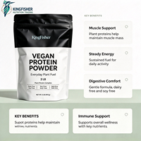 Poudre de protéines végétales pour la musculation, l'entraînement physique, la nutrition quotidienne, le soutien musculaire, la récupération après l'effort, OEM en vrac