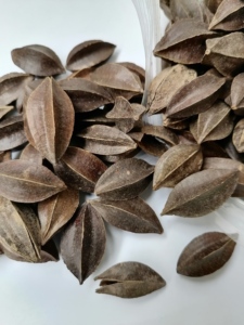 Fruits de Quisqualis Indica (<span class=keywords><strong>Rangoon</strong></span> Creeper) séchés naturels bruts à vendre - Product Image 4
