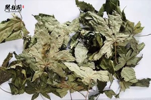 Kaiyange khô mang thai trà Mâm xôi đỏ OEM gói lá lỏng lẻo Mâm xôi đỏ thảo dược rây Rubus chingii lá Mâm xôi đỏ - Product Image 5