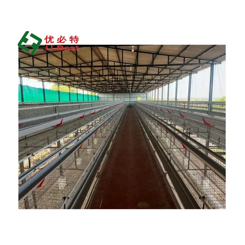 Trung Quốc Nhà Máy bán hàng trực tiếp H/A loại gà trang trại gia cầm thiết kế mới 120 lớp gà lồng để bán trong Nigeria