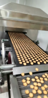 Ligne de production automatique de biscuits avec mélangeur de pâte, machine à fabriquer des biscuits fourrés, capacité de 500 kg, 380 V