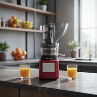 Goede kwaliteit 300-500W motor commerciële blender continue efficiënte sapcentrifuge zachte vruchten slow cold press sapcentrifuge pers