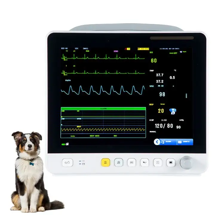 Monitor veterinario LCD portatile da 12.1 pollici Monitor ECG Monitor cardiaco veterinario per animali