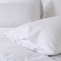 Ensemble de literie d'hôtel en coton tissé 400TC, respirant, écologique, absorbant, moderne, avec logo personnalisable, vente en gros, provenant de Jiangsu
