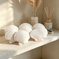 Coquilles Saint-Jacques blanches naturelles, grandes coquilles de mer propres pour l'artisanat, la décoration de mariage, la décoration d'aquarium, matériel de bricolage